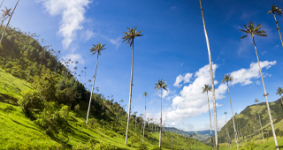 Gain a more in depth insight into what makes Colombia such an intriguing destination to visit