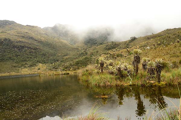 misty green hills and large pond in Iguaque flora and fauna sanctuary colombia