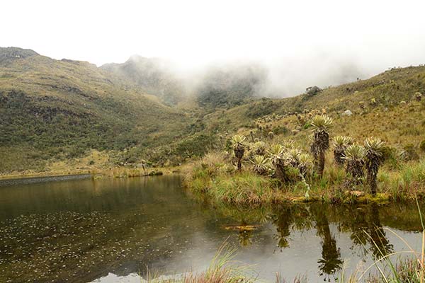 Iguaque Flora and Fauna Sanctuary, Colombia misty green hills and large pond in Iguaque flora and fauna sanctuary colombia