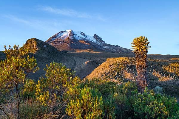 Los Nevados National Park, Colombia best national parks in colombia for mountain climbing los nevados national park