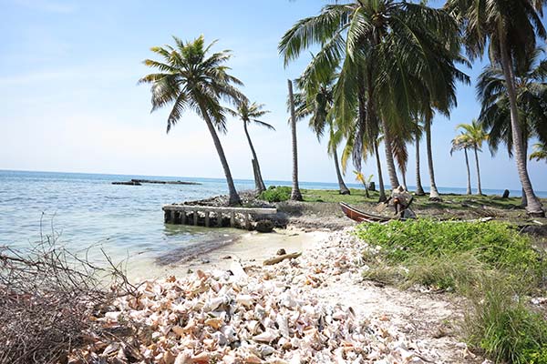 Rosario & San Bernardo Corals National Park, Colombia white beach palm trees and grass best national parks in colombia rosario and san bernado corals national park
