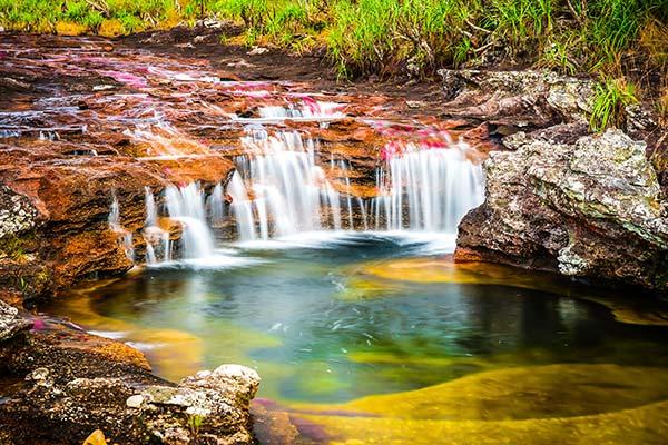 colourful river cano cristales and pond in serrania de la macarena natonal park in colombia