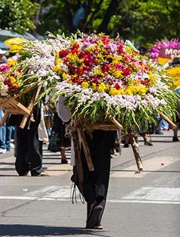 man carrying bunch of flowers at medellin flower festival colombia