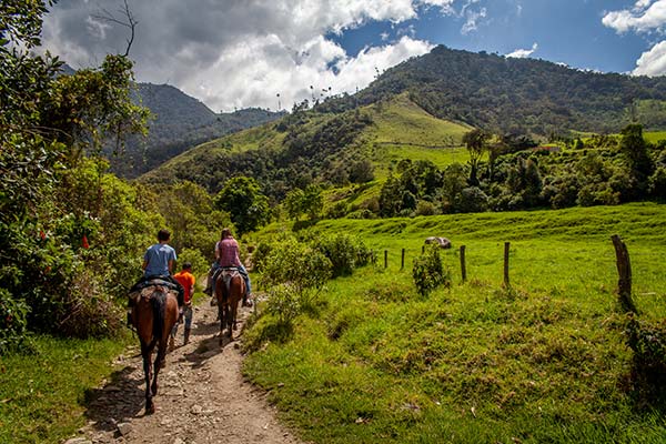 blog on the cocora trek in colombia