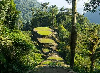 ancient remains of a lost city hidden under thick jungle