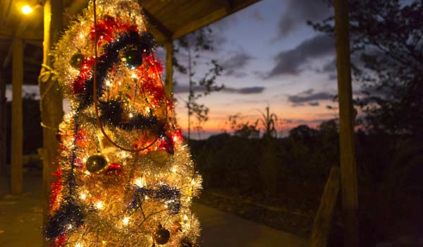 A decorated Christmas tree for the Christmas holidays in Costa Rica