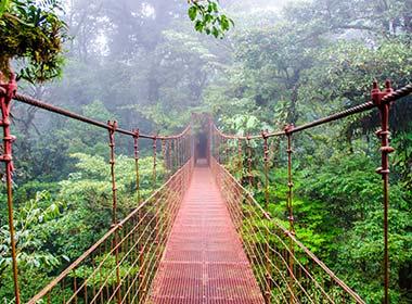suspension bridge in the forest of Monteverde National Park in Costa Rica, Central America