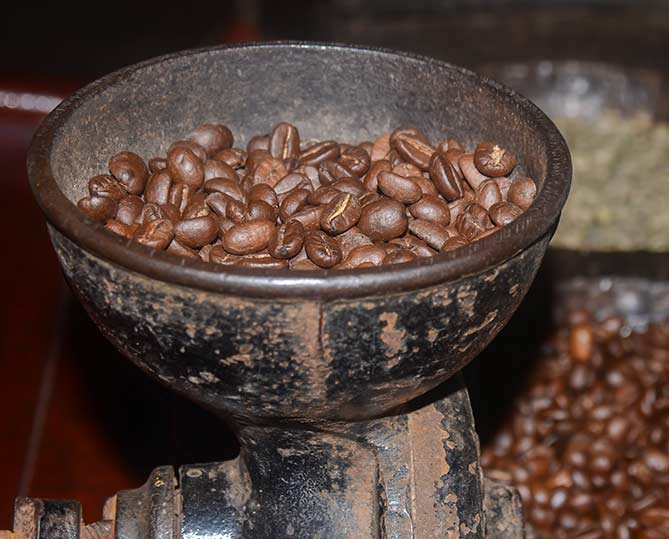 Coffee beans in Costa Rica food to try in costa rica costa rican coffee beans in a grinder