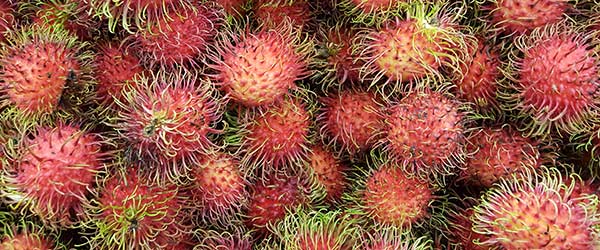 Lychee fruit in Costa Rica food to try in costa rica a pile of lychee fruit