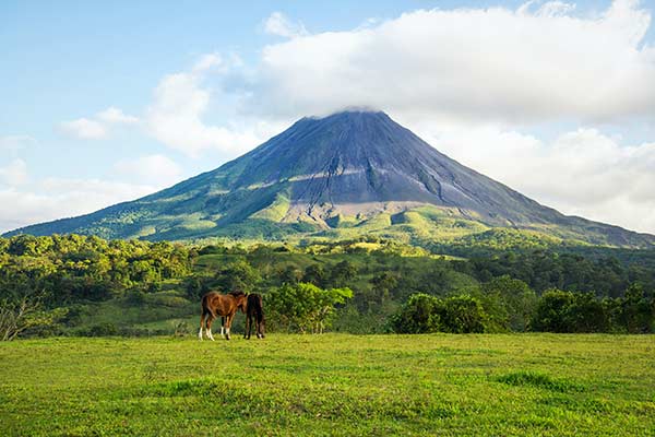 Arenal Volcano in Costa Rica Horses grazing near Arenal Volcano in Arenal Volcano National Park Costa Rica
