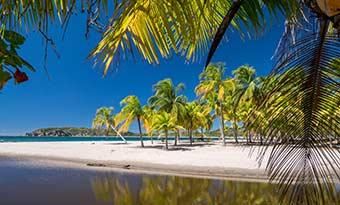 Carrillo Beach near Samara in Costa Rica White sand paradise beach Carrillo near Samara in Costa Rica