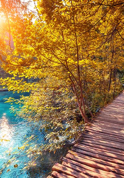 the changing colours of the leaves in Plitvice National Park in Autumn