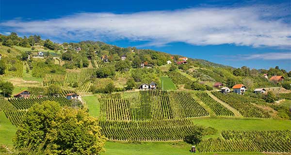 The countryside of northern Croatia travel advice for visiting the rolling hill countryside of Croatia travel advice