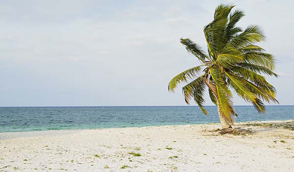 Cayo Sabinal, Cuba secluded beach in cuba cayo sabinal