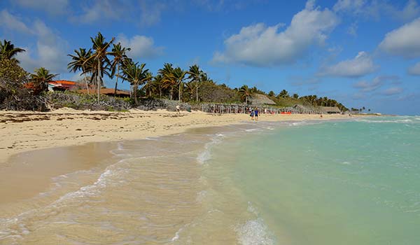 Playa Pilar, Cuba beige beach with palm trees rocks and green clear sea playa pilar in cuba
