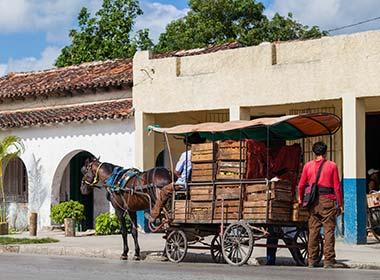 visiting santa clara on a holiday to cuba traditional cuban horse and cart