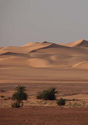 Sahara Desert sand dunes, Egypt sand dunes in the sahara desert in egypt