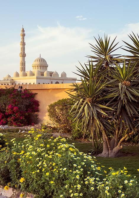 Egyptian architecture view of beautiful arab architecture in egypt