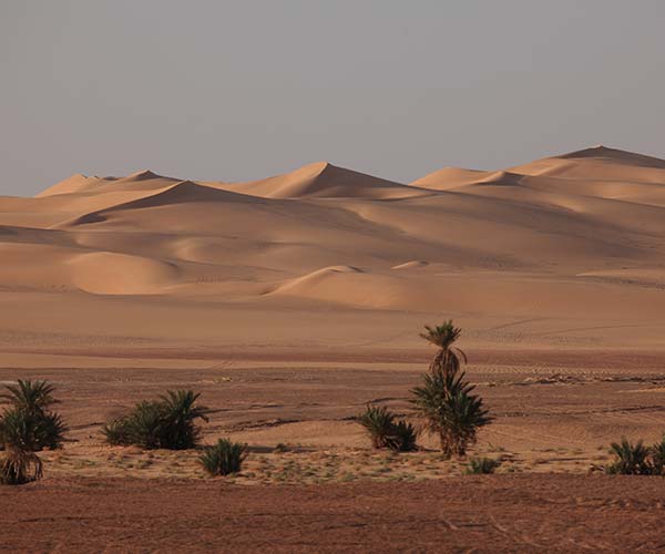 Sahara desert, Egypt the sand dundes in the sahara desert in Egypt