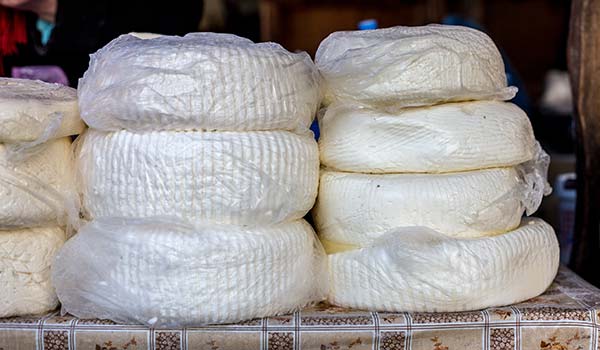 Sulguni - Georgian cheese Sulguni georgian cheese