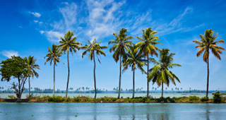 Discover Kerala's beautiful backwaters
