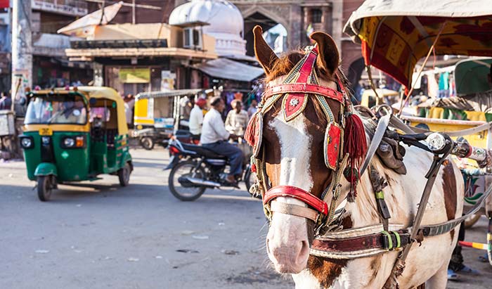 a horse and cart rickshaw with the busy streets of new delhi in the background and rickshaws and tuk tuks driving by