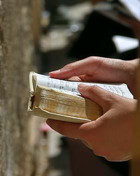 Religion in Israel hands holding prayer book and praying at the western wall in israel