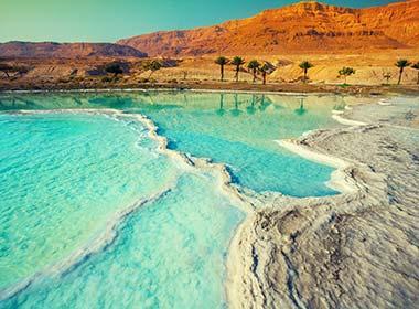 tropical landscapes in summer in the dead sea israel