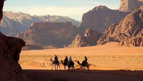 group of people camel trekking in the wadi rum desert in jordan