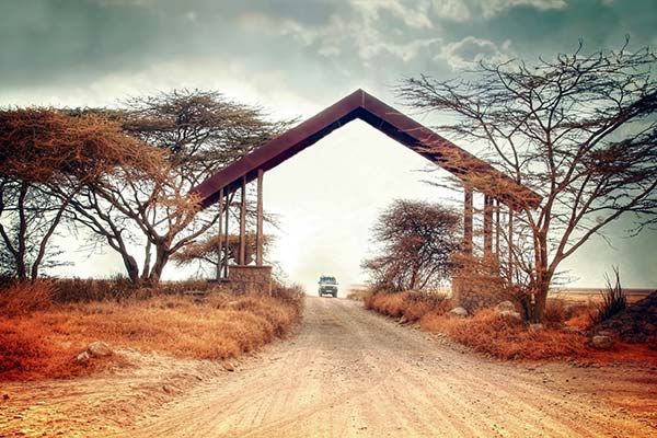 Geography and landscape of Kenya jeep on a safari in kenya