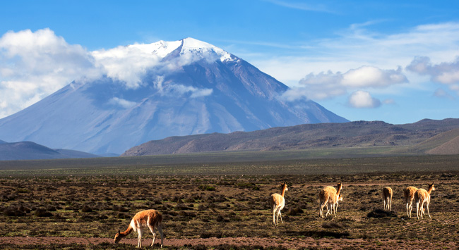 El Misti Climbing El Misti is a challenge that immerses you into Andean nature
