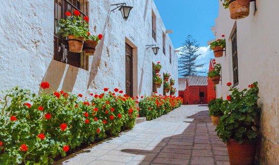 Alley inside Monasterio de Santa Catalina Arequipa's monastery is incredibly quaint and picturesque
