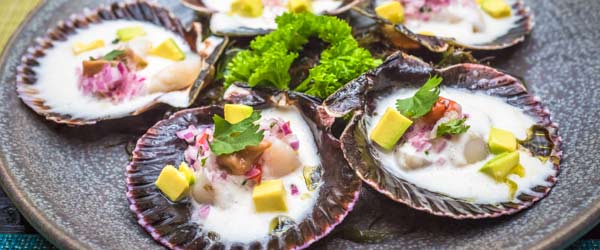 A plate of delicious fresh scallops in Peru Fresh scallops in Peru