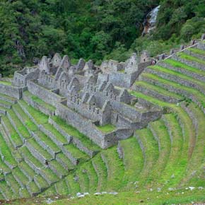 Adventure tourist photo of Winya Wayna Solo traveler take a photo on Winya Wayna ruins on their way to Machu Picchu