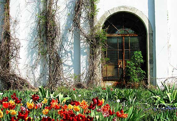 Krakow Botanical Gardens Image showing the entrance and greenery at Krakow Botanical Gardens