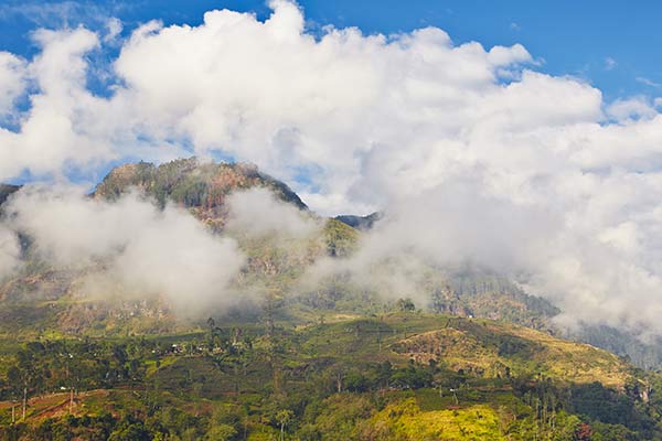 Mountains surrounded by clouds in central Nuwara Eliya
