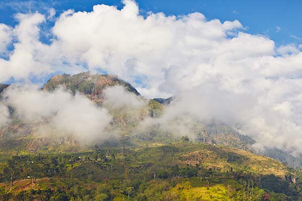 Landscape of Mountains surrounded by clouds in central Nuwara Eliya Mountains surrounded by clouds in central Nuwara Eliya