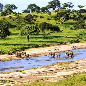 Best time to visit Serengeti Tanzania herd of elephants crossing river on a safari in Serengeti Tanzania