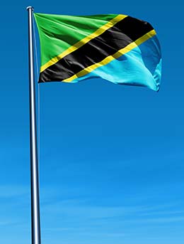 Unification Day, Tanzania flag for unification day in tanzania