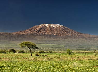 view of mount kilimanjaro from the fields of grass tanzania africa