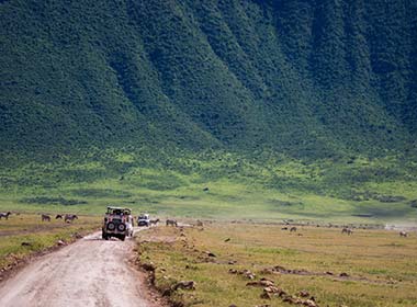 green forest and jeep safari on a road through ngorongoro crater tanzania