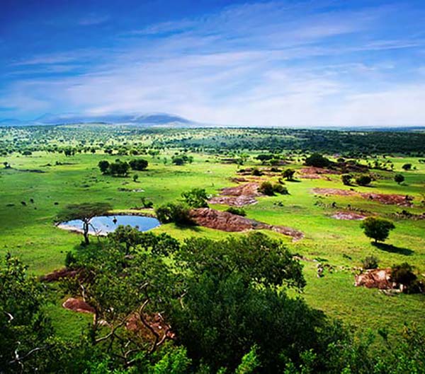 Best time for visiting the Serengeti best time to visit the Serengeti in Tanzania the great migration