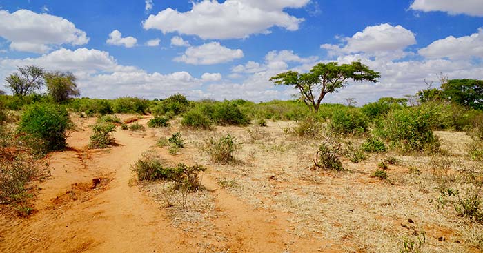 Dodoma, Tanzania desert and planes in dodoma capital city of tanzania