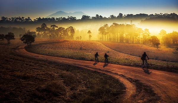 Travellers biking through the countryside in Northern Thailand biking is a great way to see some of the Thai countryside
