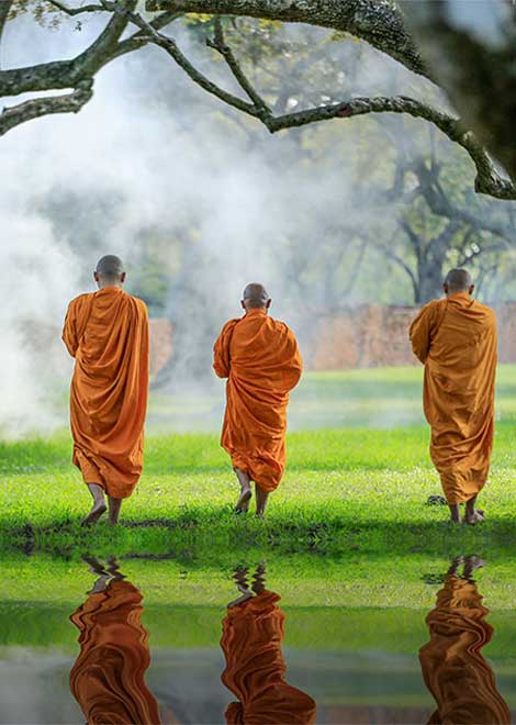 Monks in Thailand Monks in Thailand walking across the grass with their backs to the camera