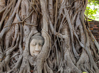 See the fascinating Buddha in the tree in Ayutthaya visit Ayutthaya on a day trip from Bangkok