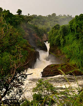 Travel Advice for Uganda river nile in uganda with green vegetation either side of the river