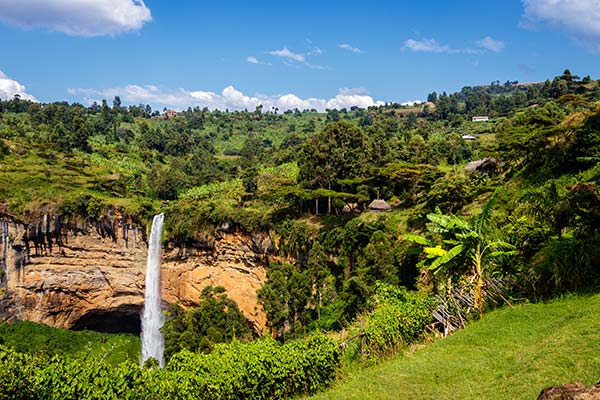 Mount Elgon National Park, Uganda green vegetation and waterfall in mount elgon national park in uganda