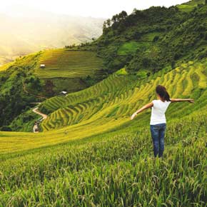 solo tourist on a holiday group tour in Sapa Female solo tourist on holiday with a group travel trip in the sapa hills looks over the landscape