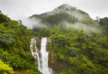 Lush landscape of Sri Lanka